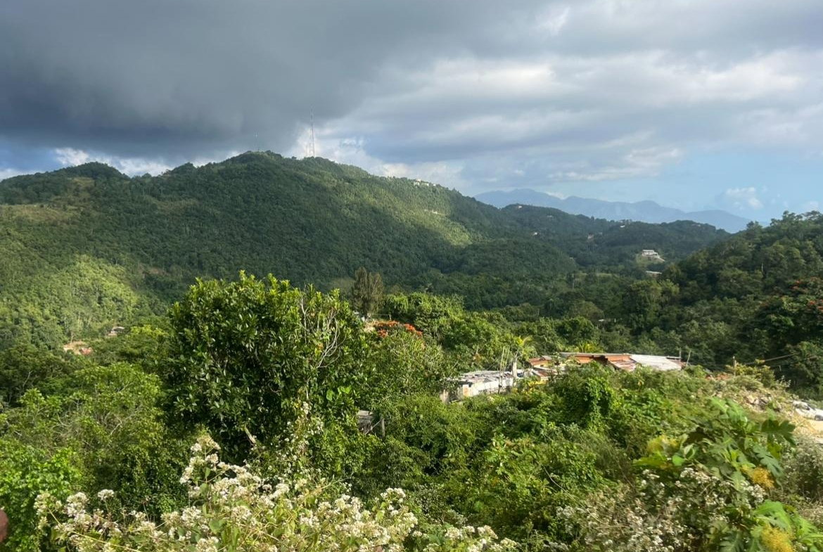 Fifth image of Land Part of Oldburn Hill in Sligoville, St. Catherine, Jamaica - property is For Sale