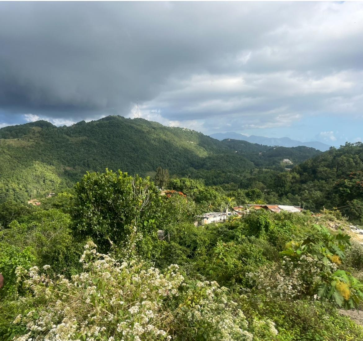 Fifth image of Land Part of Oldburn Hill in Sligoville, St. Catherine, Jamaica - property is For Sale