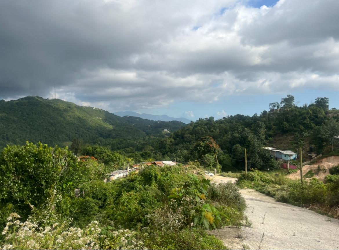 Sixth image of Land Part of Oldburn Hill in Sligoville, St. Catherine, Jamaica - property is For Sale