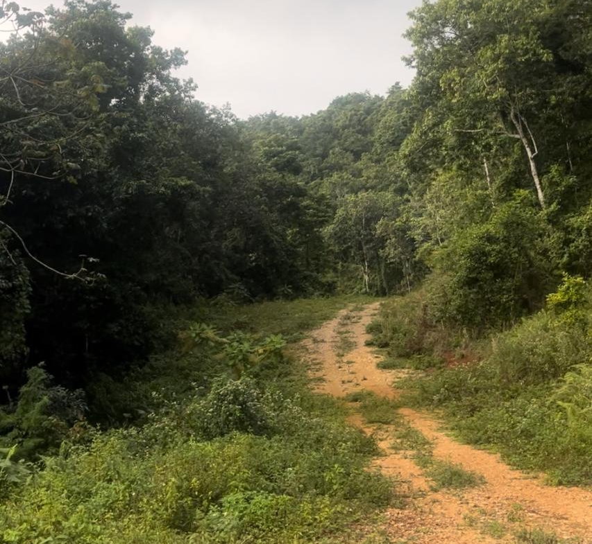 Eighth image of Land Part of Oldburn Hill in Sligoville, St. Catherine, Jamaica - property is For Sale