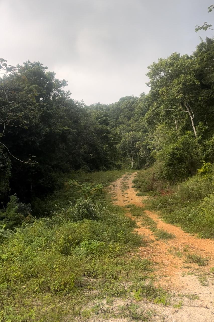 Eighth image of Land Part of Oldburn Hill in Sligoville, St. Catherine, Jamaica - property is For Sale