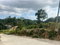 First image of Land Part of Oldburn Hill in Sligoville, St. Catherine, Jamaica - property is For Sale