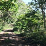 First image of Johns Town (john’s Town District) in Lysons, St. Thomas, Jamaica - property is For Sale