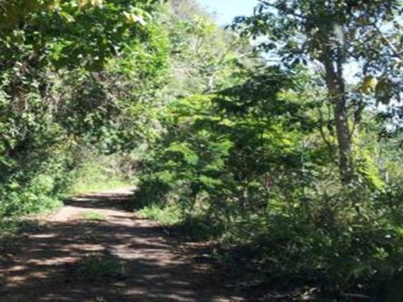 First image of Johns Town (john’s Town District) in Lysons, St. Thomas, Jamaica - property is For Sale