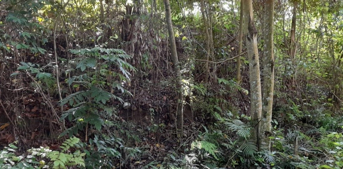 Second image of 16b Sussex Estate Road in St. Ann's Bay, St. Ann, Jamaica - property is For Sale