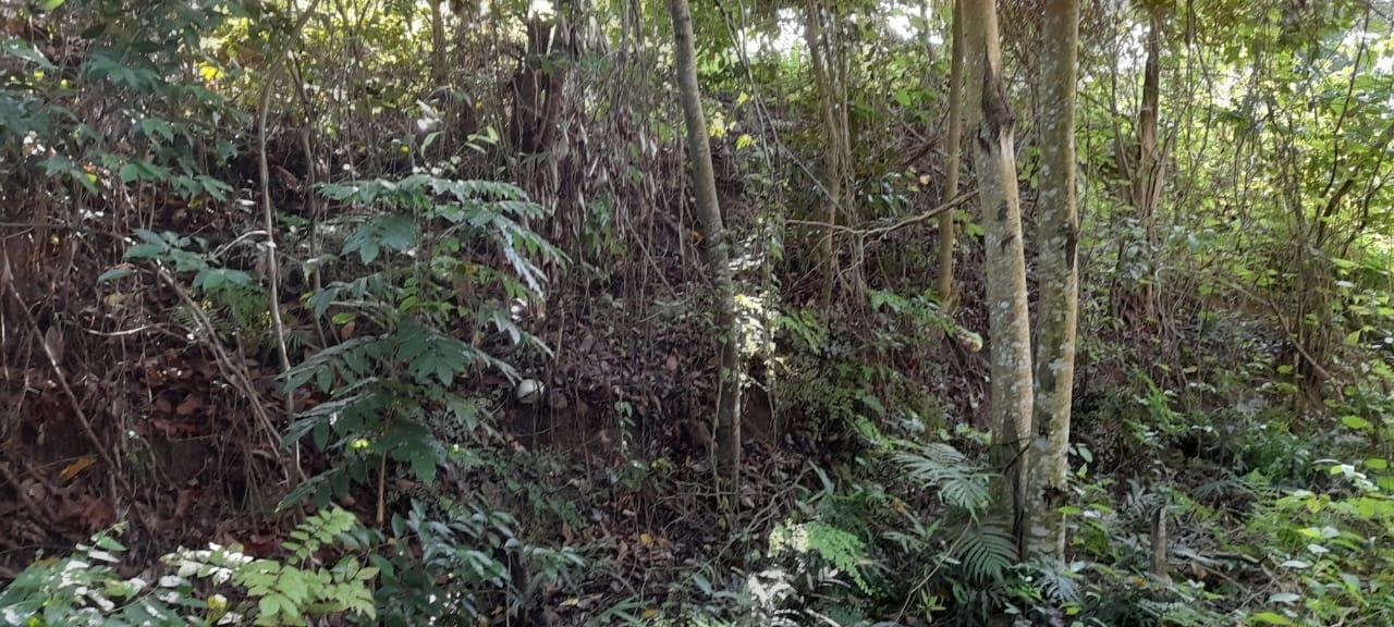 Second image of 16b Sussex Estate Road in St. Ann's Bay, St. Ann, Jamaica - property is For Sale