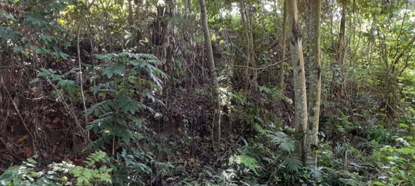 Second image of 16b Sussex Estate Road in St. Ann's Bay, St. Ann, Jamaica - property is For Sale