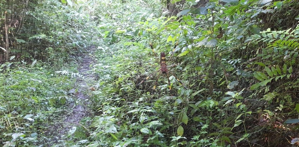 Eleventh image of 16b Sussex Estate Road in St. Ann's Bay, St. Ann, Jamaica - property is For Sale