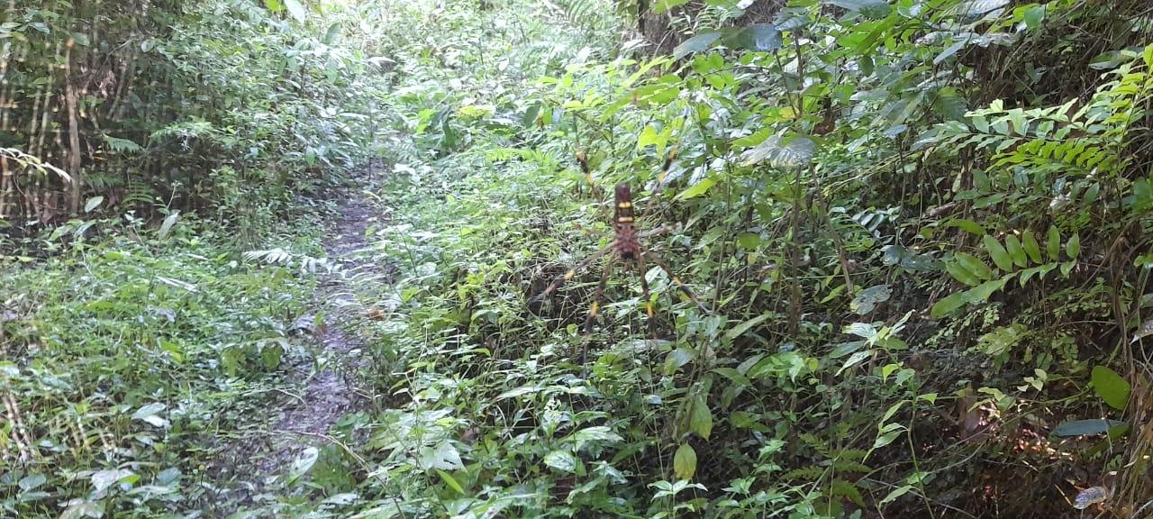 Eleventh image of 16b Sussex Estate Road in St. Ann's Bay, St. Ann, Jamaica - property is For Sale