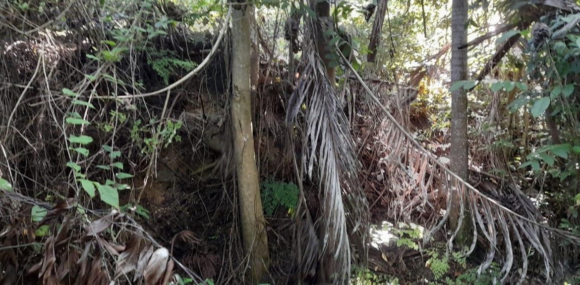 Twelfth image of 16b Sussex Estate Road in St. Ann's Bay, St. Ann, Jamaica - property is For Sale