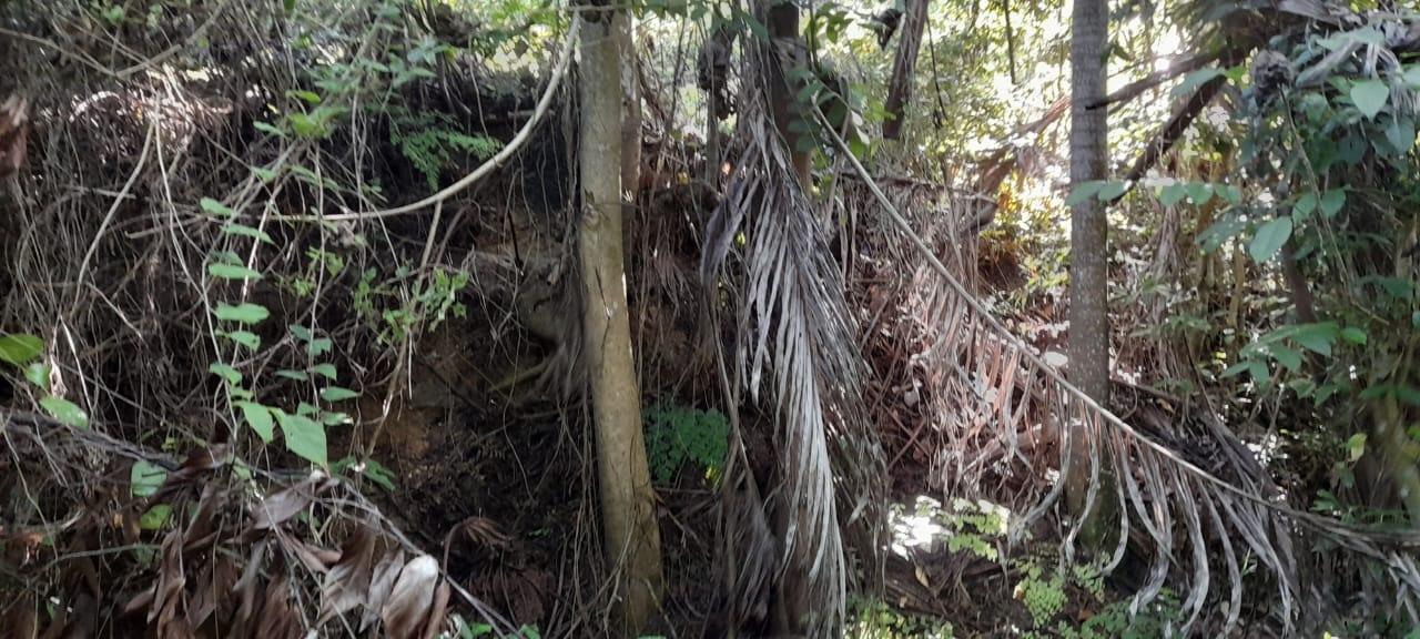 Twelfth image of 16b Sussex Estate Road in St. Ann's Bay, St. Ann, Jamaica - property is For Sale