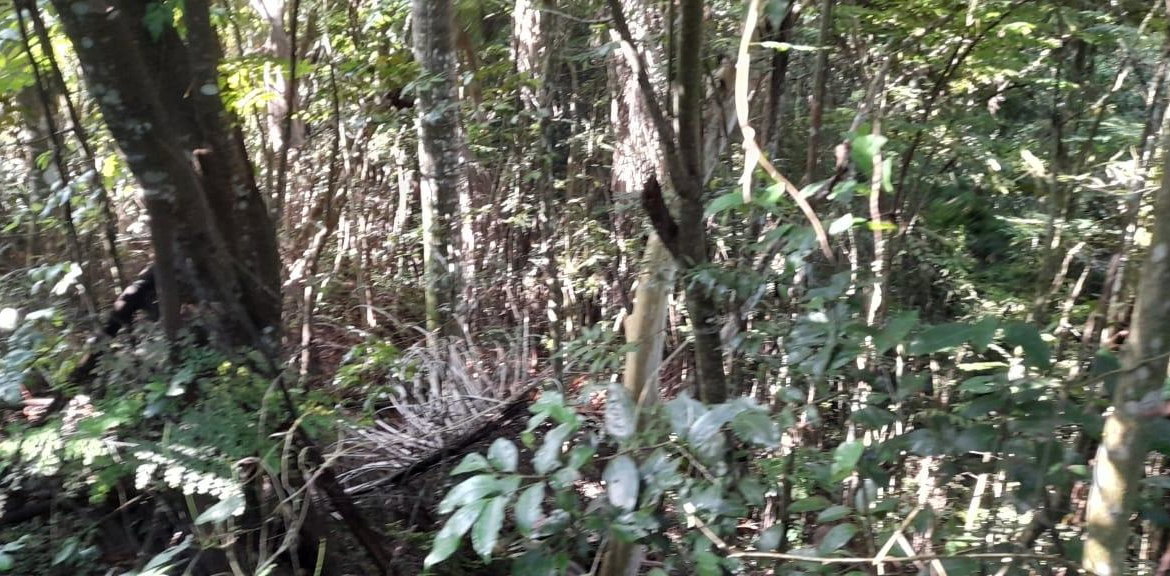 First image of 16b Sussex Estate Road in St. Ann's Bay, St. Ann, Jamaica - property is For Sale