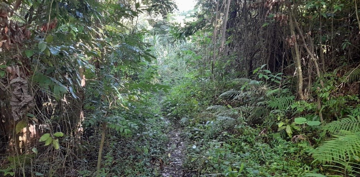 Thirteenth image of 16b Sussex Estate Road in St. Ann's Bay, St. Ann, Jamaica - property is For Sale