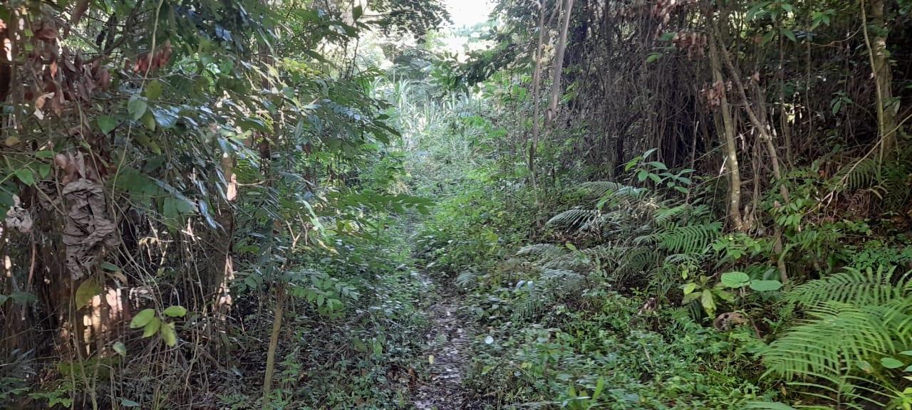 Thirteenth image of 16b Sussex Estate Road in St. Ann's Bay, St. Ann, Jamaica - property is For Sale