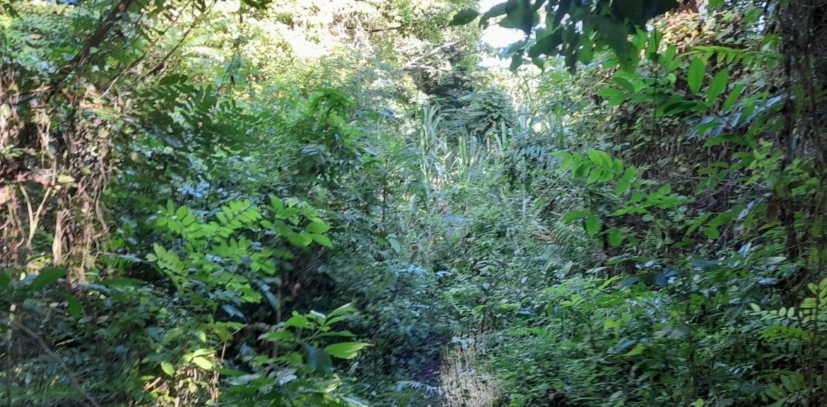 Fourteenth image of 16b Sussex Estate Road in St. Ann's Bay, St. Ann, Jamaica - property is For Sale