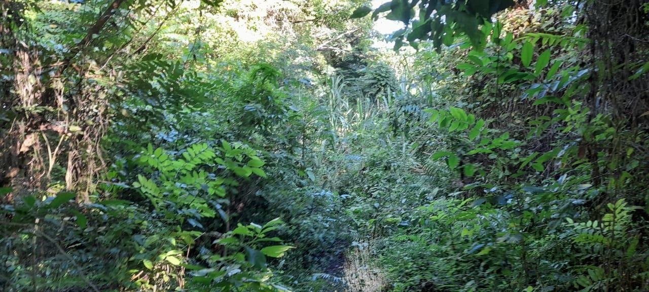 Fourteenth image of 16b Sussex Estate Road in St. Ann's Bay, St. Ann, Jamaica - property is For Sale