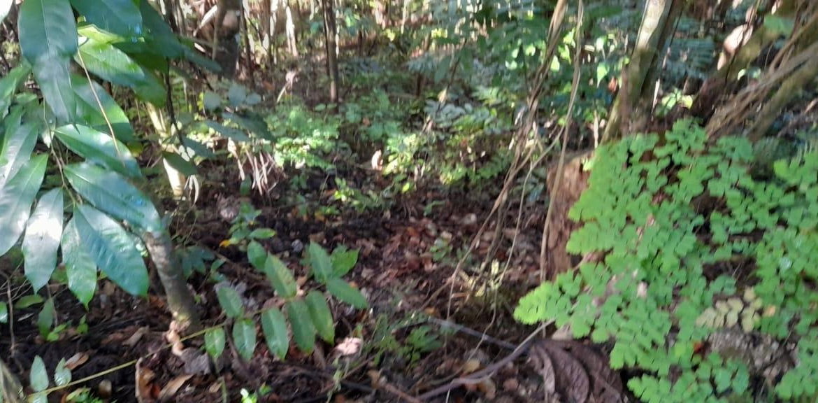 Fifteenth image of 16b Sussex Estate Road in St. Ann's Bay, St. Ann, Jamaica - property is For Sale