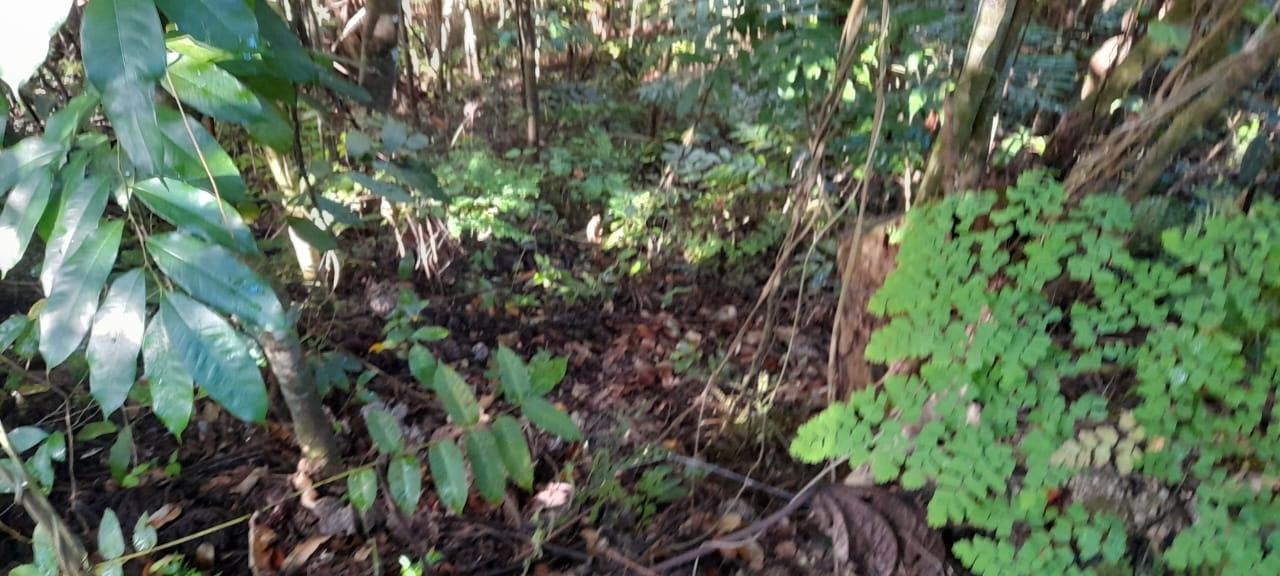 Fifteenth image of 16b Sussex Estate Road in St. Ann's Bay, St. Ann, Jamaica - property is For Sale