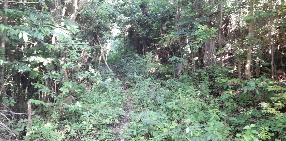 Sixteenth image of 16b Sussex Estate Road in St. Ann's Bay, St. Ann, Jamaica - property is For Sale