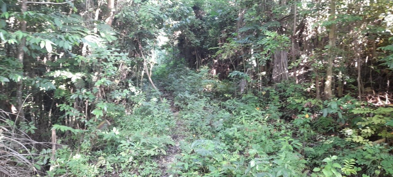 Sixteenth image of 16b Sussex Estate Road in St. Ann's Bay, St. Ann, Jamaica - property is For Sale