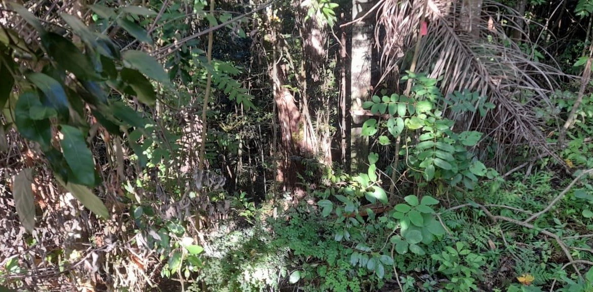 Seventeenth image of 16b Sussex Estate Road in St. Ann's Bay, St. Ann, Jamaica - property is For Sale