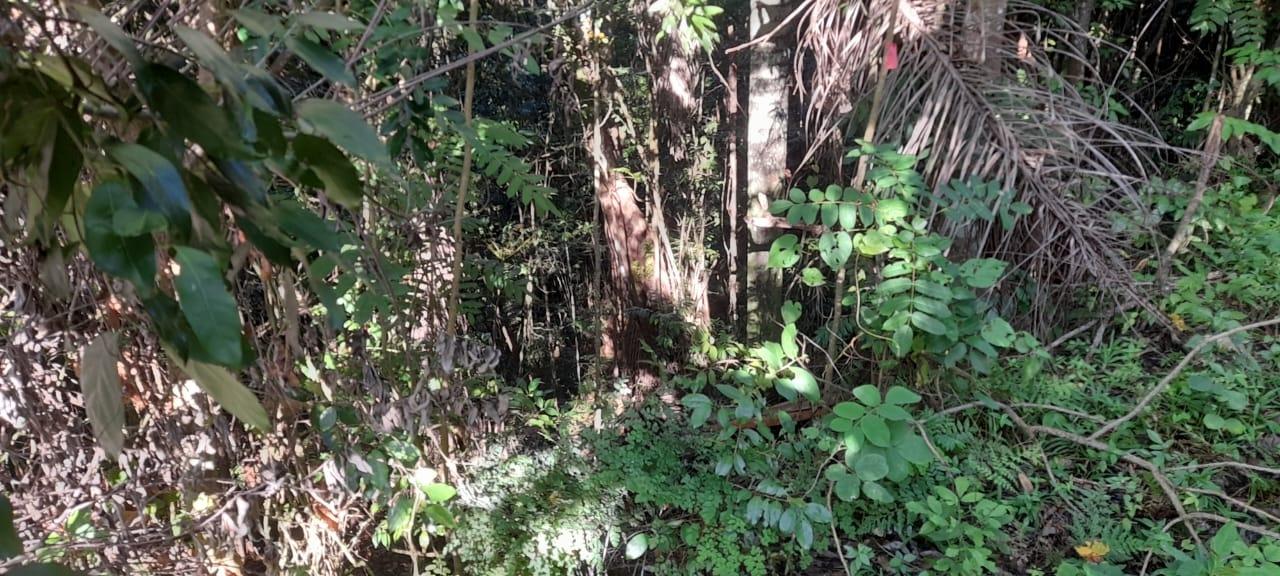 Seventeenth image of 16b Sussex Estate Road in St. Ann's Bay, St. Ann, Jamaica - property is For Sale