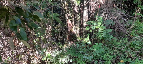 Seventeenth image of 16b Sussex Estate Road in St. Ann's Bay, St. Ann, Jamaica - property is For Sale