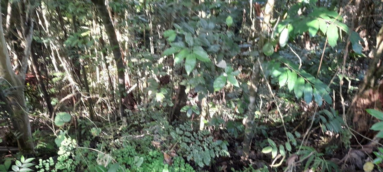 Nineteenth image of 16b Sussex Estate Road in St. Ann's Bay, St. Ann, Jamaica - property is For Sale