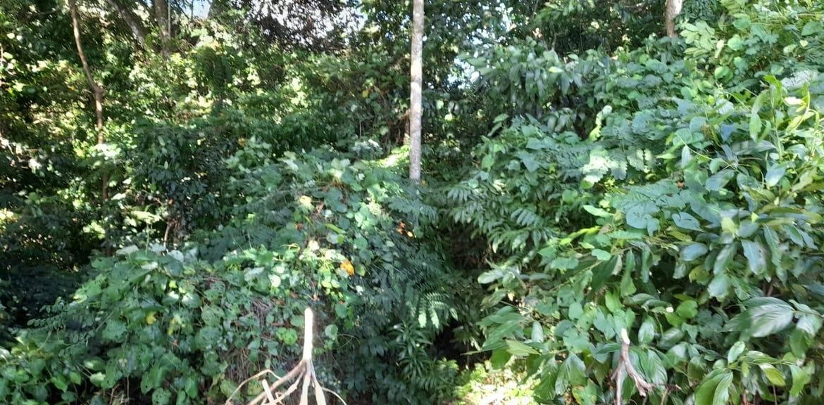 Third image of 16b Sussex Estate Road in St. Ann's Bay, St. Ann, Jamaica - property is For Sale