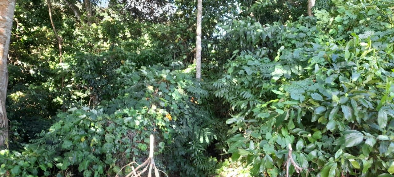 Third image of 16b Sussex Estate Road in St. Ann's Bay, St. Ann, Jamaica - property is For Sale