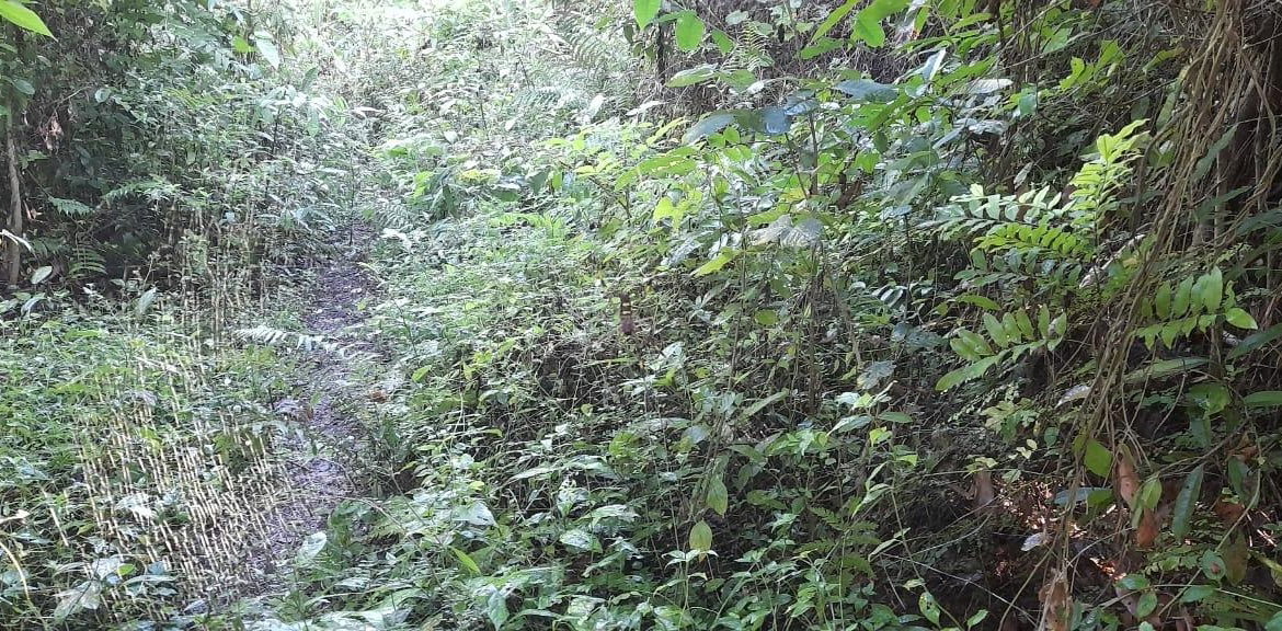 Fourth image of 16b Sussex Estate Road in St. Ann's Bay, St. Ann, Jamaica - property is For Sale