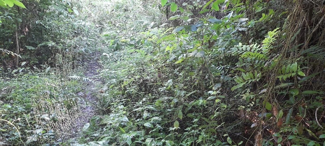 Fourth image of 16b Sussex Estate Road in St. Ann's Bay, St. Ann, Jamaica - property is For Sale