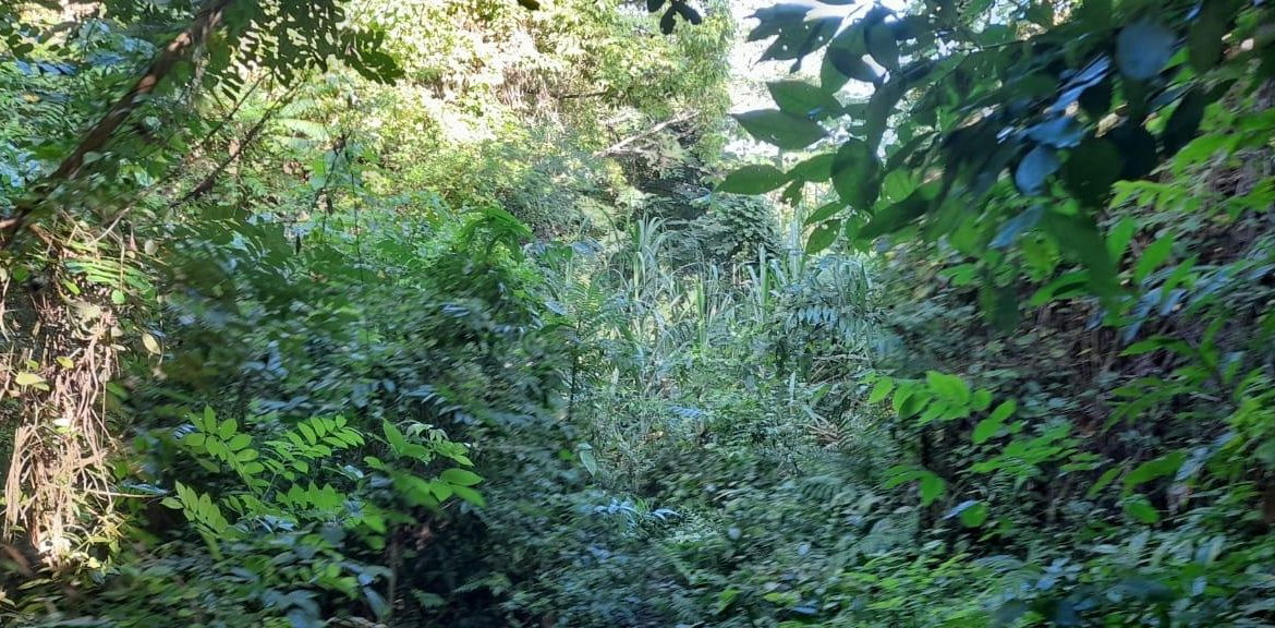 Sixth image of 16b Sussex Estate Road in St. Ann's Bay, St. Ann, Jamaica - property is For Sale