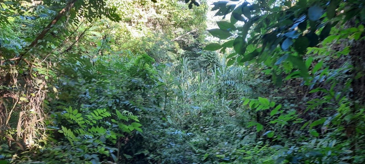 Sixth image of 16b Sussex Estate Road in St. Ann's Bay, St. Ann, Jamaica - property is For Sale