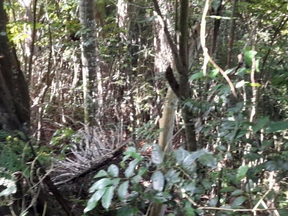 First image of 16b Sussex Estate Road in St. Ann's Bay, St. Ann, Jamaica - property is For Sale