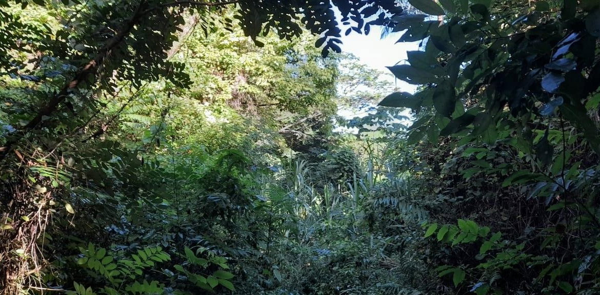 Seventh image of 16b Sussex Estate Road in St. Ann's Bay, St. Ann, Jamaica - property is For Sale