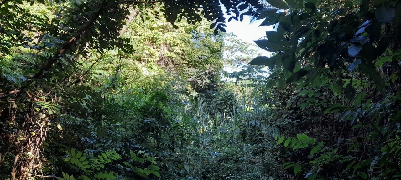 Seventh image of 16b Sussex Estate Road in St. Ann's Bay, St. Ann, Jamaica - property is For Sale