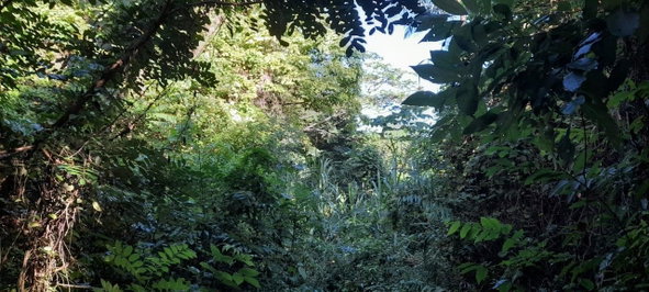 Seventh image of 16b Sussex Estate Road in St. Ann's Bay, St. Ann, Jamaica - property is For Sale