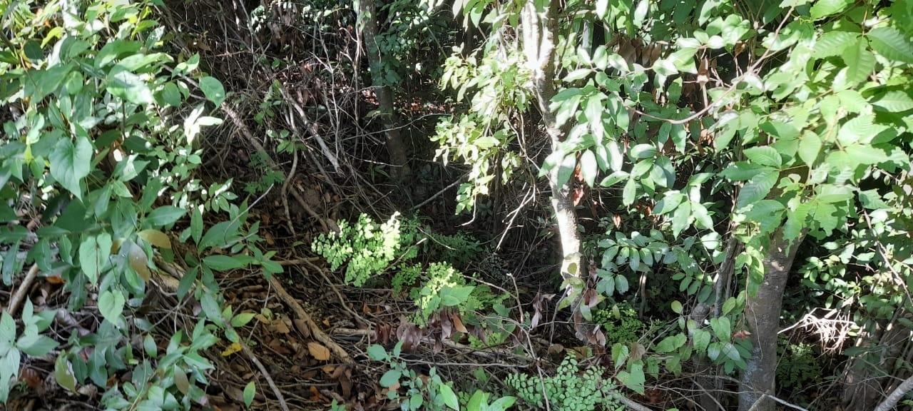 Eighth image of 16b Sussex Estate Road in St. Ann's Bay, St. Ann, Jamaica - property is For Sale