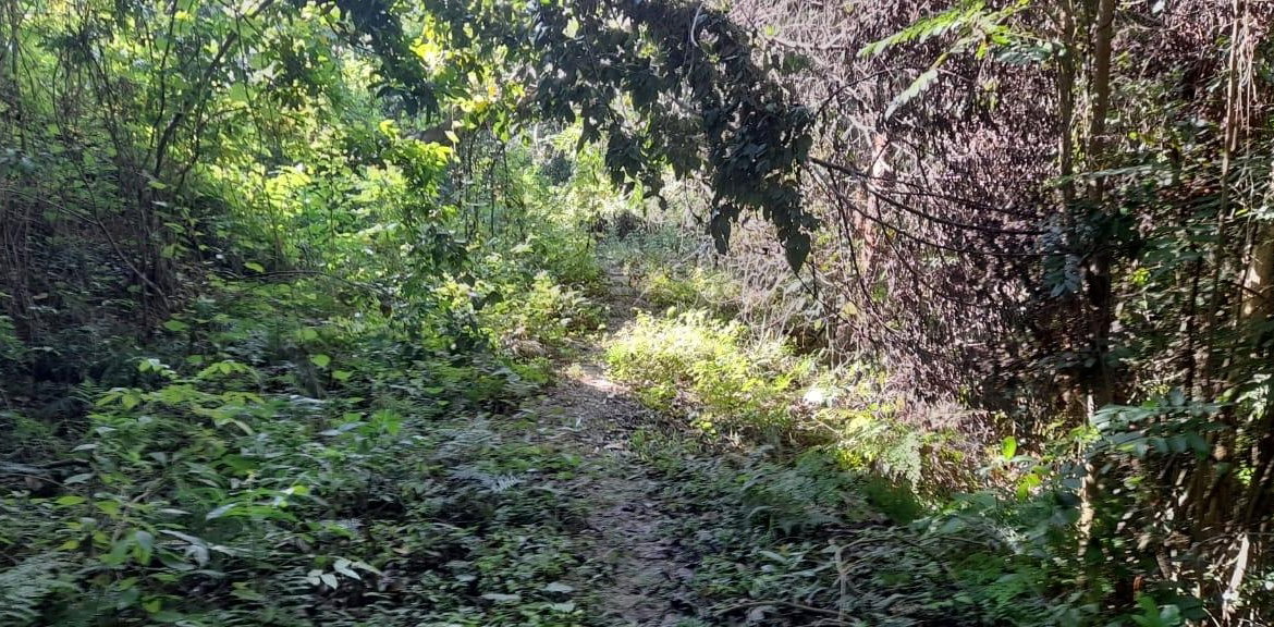 Ninth image of 16b Sussex Estate Road in St. Ann's Bay, St. Ann, Jamaica - property is For Sale