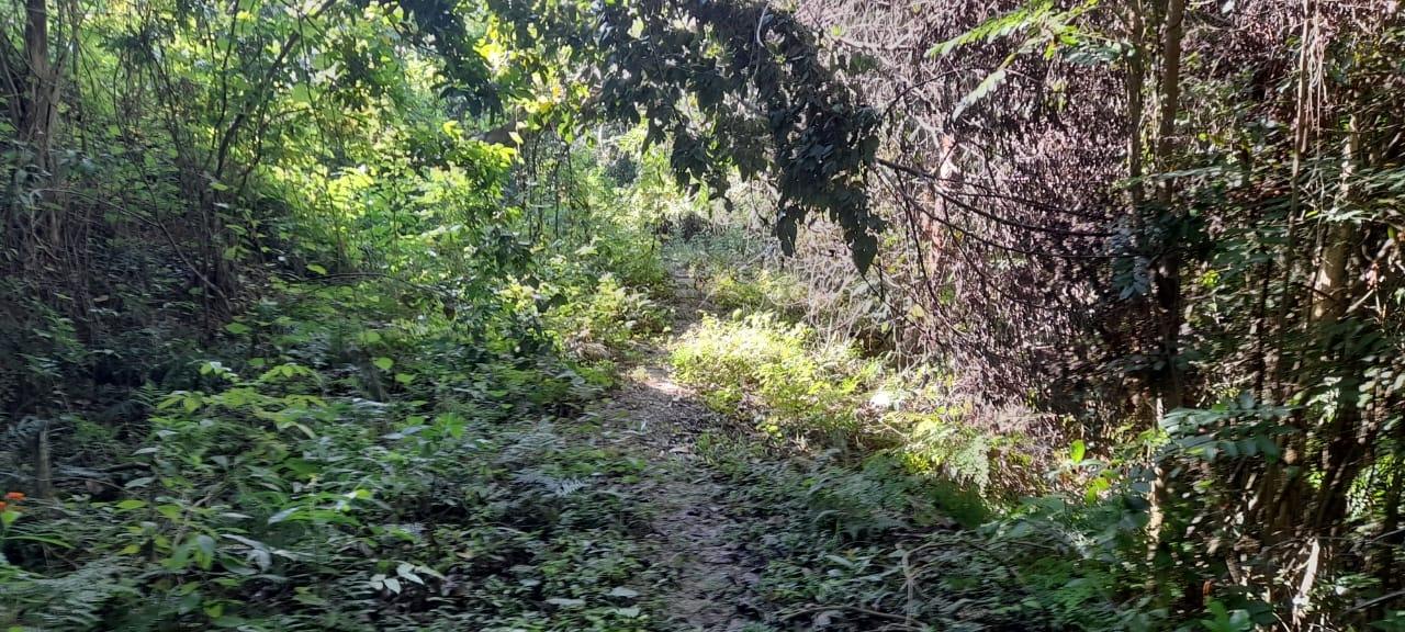 Ninth image of 16b Sussex Estate Road in St. Ann's Bay, St. Ann, Jamaica - property is For Sale