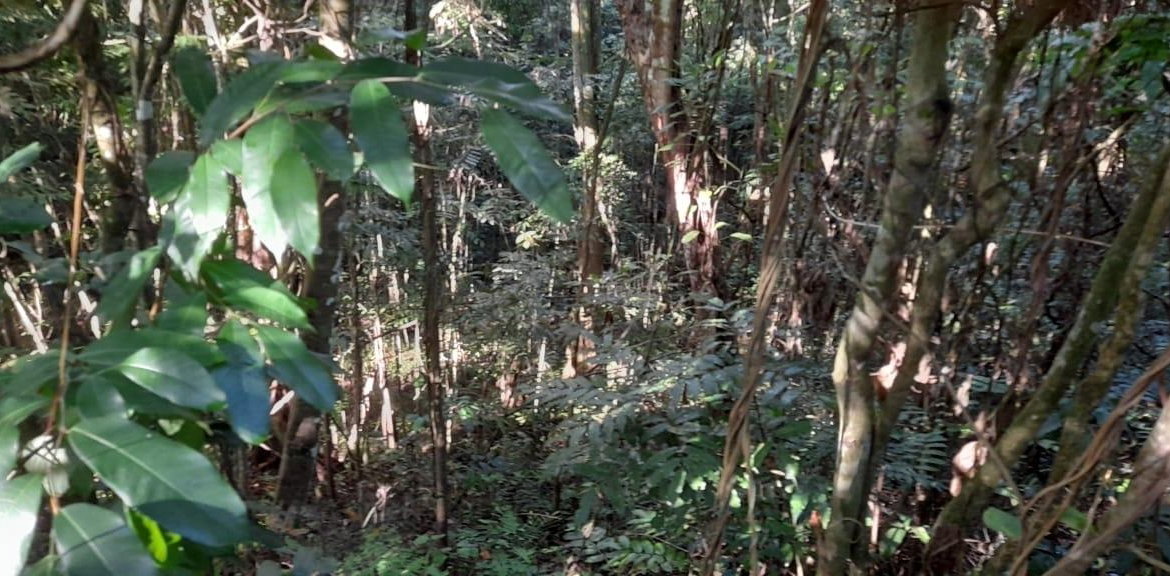 Tenth image of 16b Sussex Estate Road in St. Ann's Bay, St. Ann, Jamaica - property is For Sale