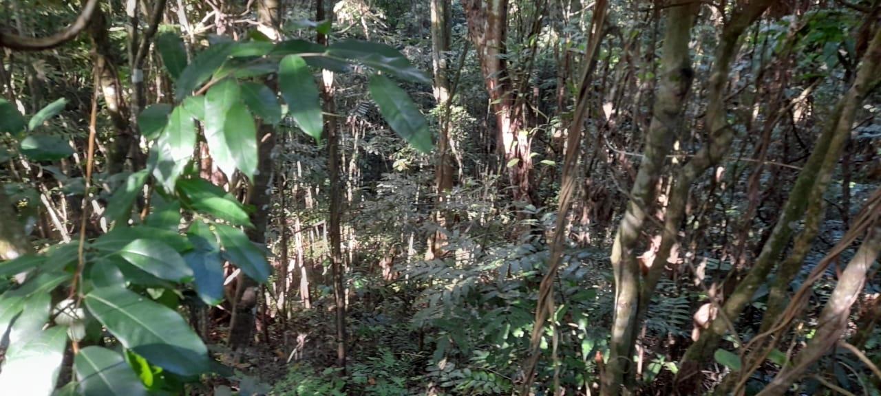 Tenth image of 16b Sussex Estate Road in St. Ann's Bay, St. Ann, Jamaica - property is For Sale