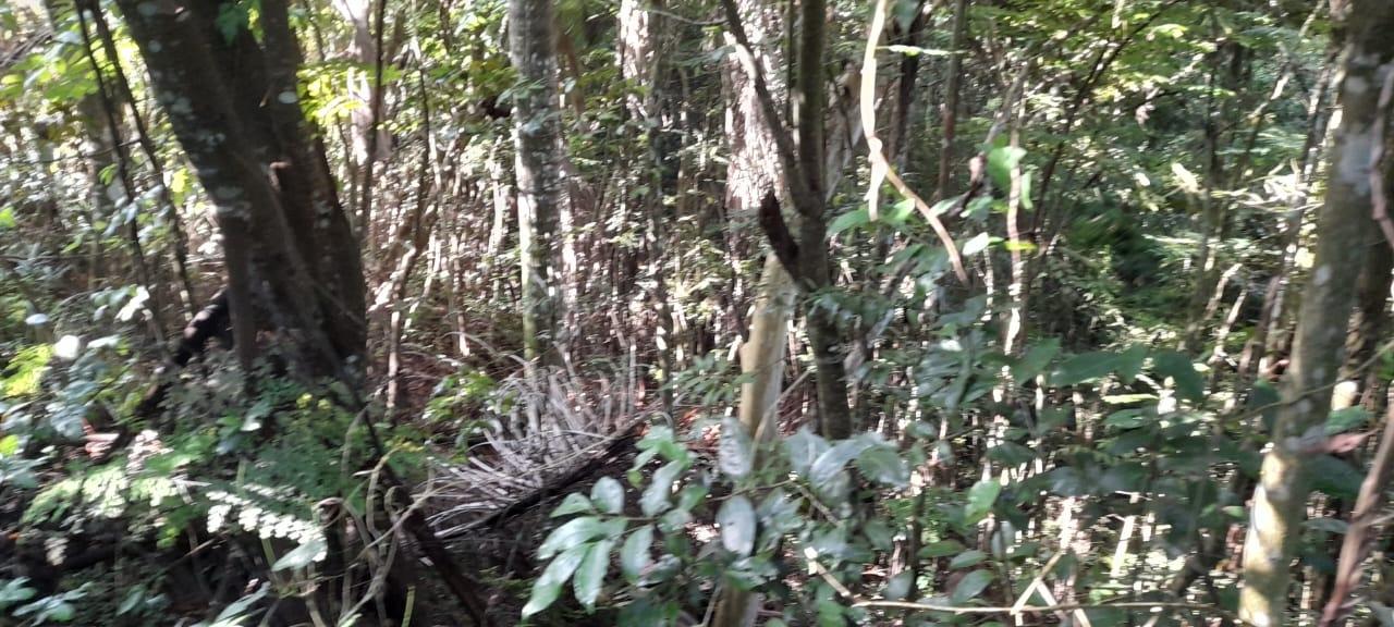 First image of 16b Sussex Estate Road in St. Ann's Bay, St. Ann, Jamaica - property is For Sale