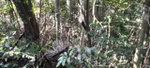 First image of 16b Sussex Estate Road in St. Ann's Bay, St. Ann, Jamaica - property is For Sale