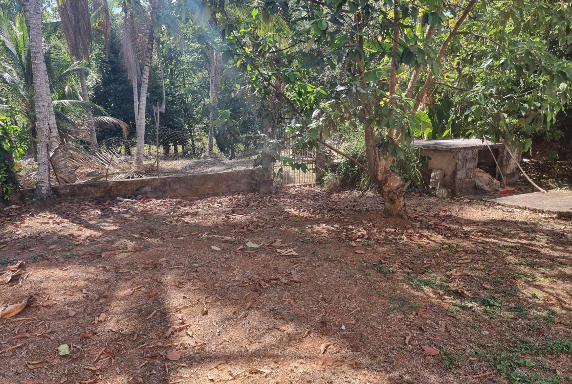 Ninth image of Lot 45 Heathfield, Linstead in Linstead, St. Catherine, Jamaica - property is For Sale