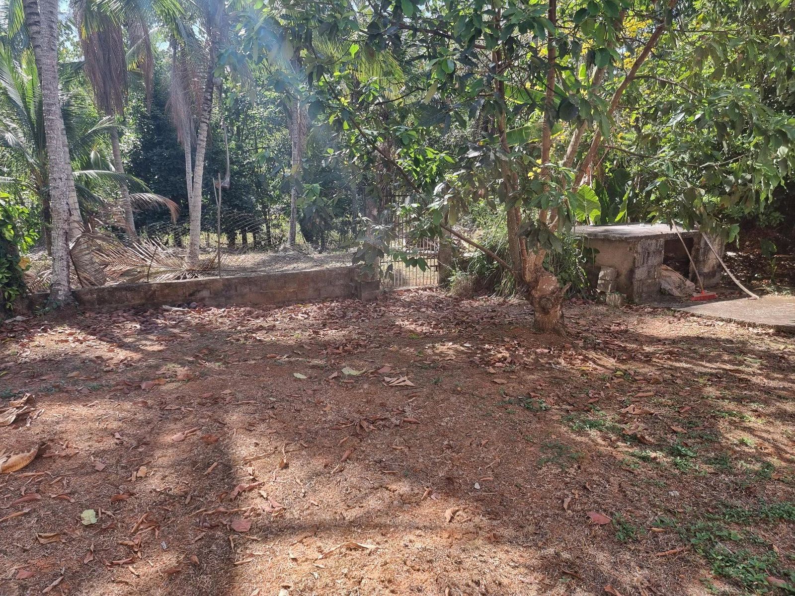 Ninth image of Lot 45 Heathfield, Linstead in Linstead, St. Catherine, Jamaica - property is For Sale