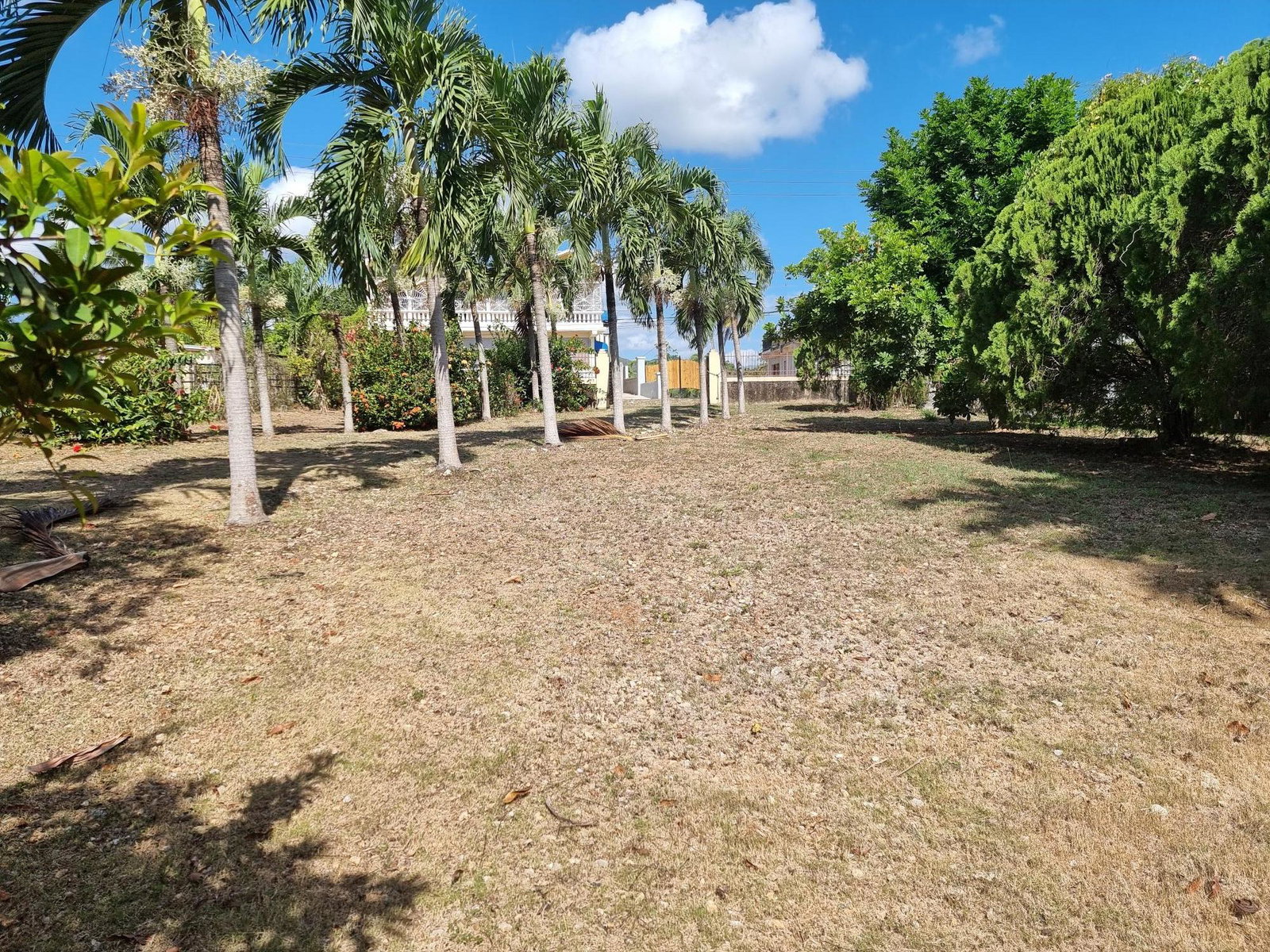 First image of Lot 45 Heathfield, Linstead in Linstead, St. Catherine, Jamaica - property is For Sale