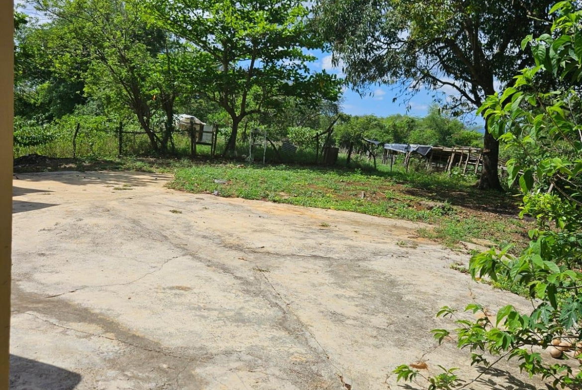 Eleventh image of Part of Pepper, st Elizab in Pepper, St. Elizabeth, Jamaica - property is For Sale