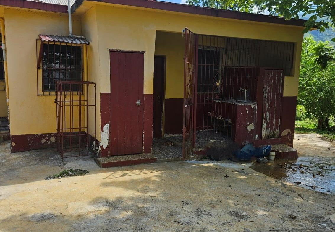 Fourteenth image of Part of Pepper, st Elizab in Pepper, St. Elizabeth, Jamaica - property is For Sale